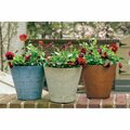 Book Publishing Co 10 in. Napa Bowl Planter - Gray GR3240969